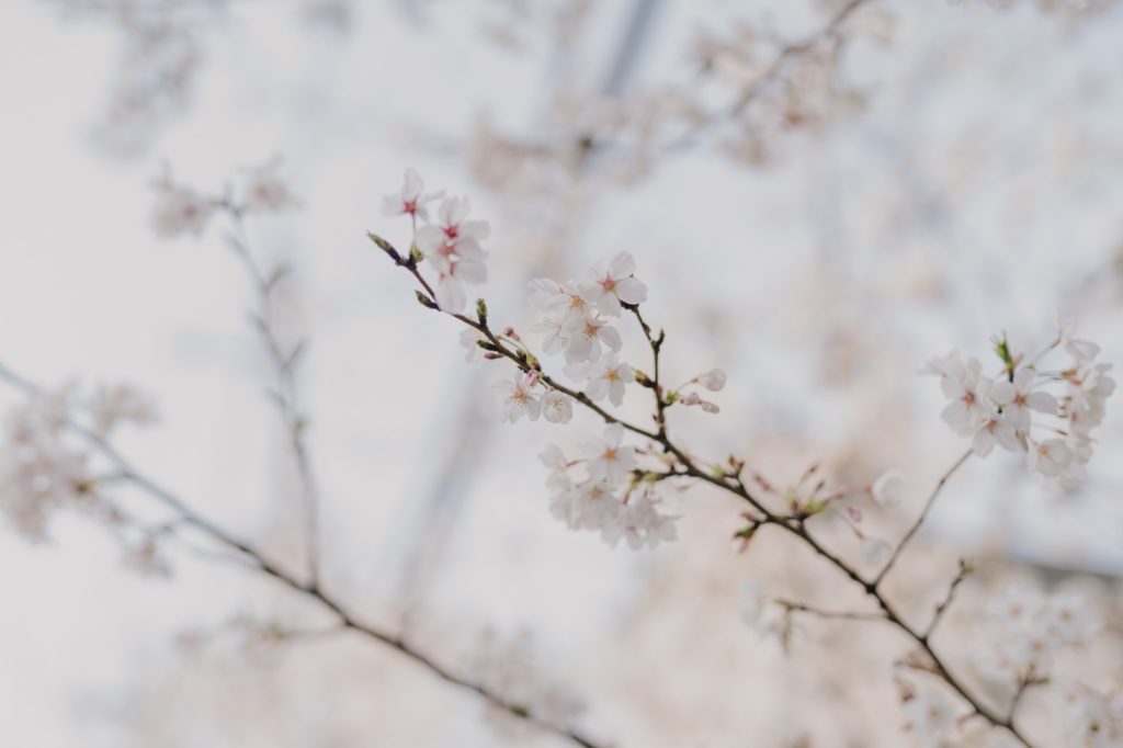 オリジナリティ溢れる一日